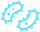 virus